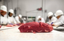 Nhà sản xuất thịt bò hàng đầu EU tìm cách 'đổ bộ' vào Việt Nam