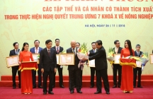 Vinamilk nhận bằng khen của Thủ tướng Chính phủ về phát triển tam nông bền vững