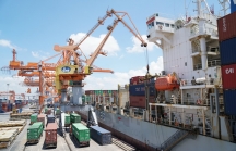 Chính thức tăng giá dịch vụ cảng biển