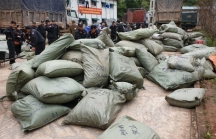Triệt phá đường dây buôn lậu tại tỉnh Lạng Sơn trước Tết Nguyên đán Kỷ Hợi 2019