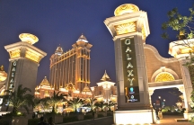 Tập đoàn Hồng Kông 'tố' Duyen Ha Resort Cam Ranh sử dụng trái phép thương hiệu Galaxy