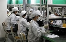 Business Times: Foxconn chi 16,5 triệu USD để có quyền sử dụng 25ha tại Bắc Giang