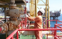 PVN khai thác 1,13 triệu tấn dầu tháng đầu năm