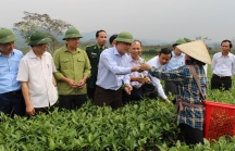 Chủ tịch UBND tỉnh Hà Tĩnh:  “Hương Sơn cần phát triển mạnh nông nghiệp gắn với du lịch”