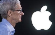 Giới chuyên gia chỉ ra sai lầm lớn nhất của Apple thời Tim Cook
