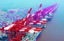 Quảng Ninh đề xuất đầu tư xây dựng cảng Mũi Chùa 505 tỷ đồng bằng vốn ngân sách