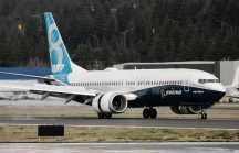 Hãng hàng không Việt Nam nào đang sử dụng Boeing 737 MAX - dòng máy bay gây tai nạn thảm khốc vừa qua?