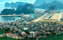 Quảng Ninh lập đoàn thanh tra về việc quản lý và sử dụng đất tại Vân Đồn