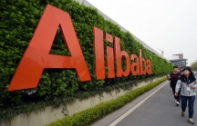 Nếu đầu tư 1.000 USD vào Alibaba vào 5 năm trước, đây là số tiền bạn có hiện tại
