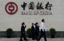 3 chi nhánh ngân hàng ngoại tại Việt Nam được cấp thêm vốn