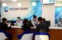 Những túi quà tiền tỷ được Oceanbank chi cho lãnh đạo PVEP như thế nào?