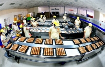 Trứng vịt Ba Huân tăng vốn lên 330 tỷ đồng sau thương vụ nghìn tỷ đổ bể với Vinacapital