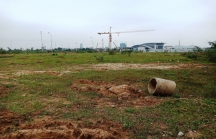 Thanh Hóa: Phê duyệt kế hoạch bán đấu giá 175 lô đất Đông Cương