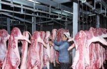 Giá thịt lợn trong nước 2019 diễn biến khó lường