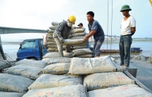 Việt Nam tăng xuất khẩu xi măng, clinker sang Trung Quốc với giá rẻ