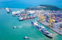 Hãng tàu biển Đài Loan bỏ 400 tỷ mua 20% cổ phần Cảng Đà Nẵng