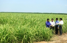 Gia đình ông Đặng Văn Thành tiếp quản nhà máy đường, cồn, điện 16.000 ha ở Campuchia