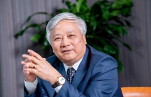Tòa án tạm dừng việc cựu CEO Ecopark Đào Ngọc Thanh làm Chủ tịch Vinaconex