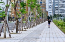 Hà Nội: Chỉnh trang đô thị bằng việc chuẩn bị lát gạch, đá cho hàng trăm tuyến phố
