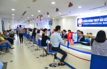 SCB nằm trong nhóm 5 Ngân hàng thương mại cổ phần lớn nhất Việt Nam