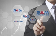 Nhiều lãnh đạo cấp cao của Sam Holdings liên tục từ nhiệm