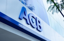 ACB đặt mục tiêu lợi nhuận hơn 7.000 tỷ đồng trước thuế, dự kiến chia cổ tức bằng cổ phiếu với tỷ lệ 30%
