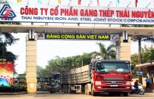 Gang thép Thái Nguyên có nguy cơ phá sản