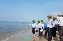 Quảng Nam: Cắm biển báo cấm tại đảo cát nổi lên giữa biển Hội An