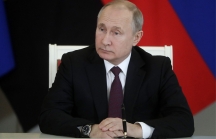 Thu nhập của Tổng thống Putin giảm hơn 1/2 trong năm 2018