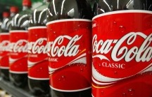 Cạnh tranh với TH, Vinamilk... Coca Cola 'tham chiến' thị trường sữa tươi