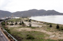 Dự án khu lấn biển Mũi Tấn tái khởi động sau 6 năm bị 'treo'