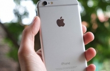 Sau hơn 4 năm được bày bán, iPhone 6 cuối cùng cũng đã bị 'khai tử' tại Việt Nam