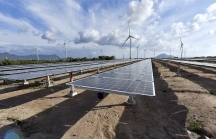 Ninh Thuận: Khánh thành tổ hợp năng lượng tái tạo lớn nhất Việt Nam