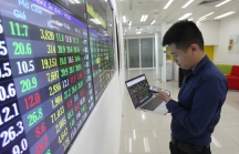 Cổ phiếu Việt Nam sẽ tiếp tục diễn biến phức tạp trong quý II/2019