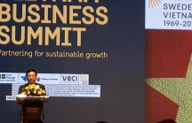 Phó Thủ tướng Phạm Bình Minh: 'Thời điểm vàng để thúc đẩy hợp tác kinh tế, thương mại và đầu tư Việt Nam-Thụy Điển'