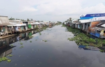 Hậu Giang đã tìm ra “thủ phạm” gây ô nhiễm sông Cái Lớn
