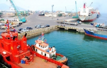 Cảng Quy Nhơn 'chốt' lịch Đại hội đồng cổ đông