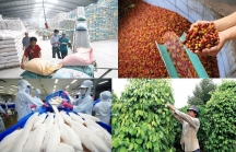 40 doanh nghiệp Việt đưa nông sản, thực phẩm sang Trung Quốc giao thương
