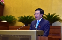 Phó thủ tướng: Sẽ xử lý nghiêm hành vi kinh doanh nhập lậu hàng nhái gắn mác 'made in Việt Nam'