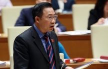 Đại biểu Lưu Bình Nhưỡng nói về bản án ly hôn vợ chồng cà phê Trung Nguyên: 'Tòa đã vượt  tầm Hiến pháp'