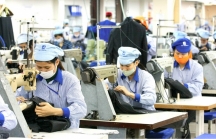 'Hiệp định CPTPP đã bắt đầu phát huy tác dụng, doanh nghiệp Việt phải tận dụng được thời cơ'