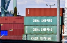 Bất chấp chiến tranh thương mại, thặng dư thương mại Trung Quốc vẫn tăng hơn mức dự kiến
