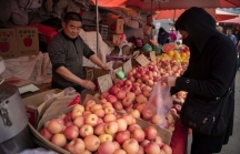 Giá táo tăng vọt và nỗi lo của người Trung Quốc trước cuộc chiến thương mại