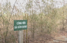 Kết luận Thanh tra dự án công viên Sài Gòn Safari: UBND TP.HCM và các tổ chức, cá nhân bị kiến nghị kiểm điểm