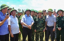 Hà Tĩnh: Tập trung cao độ cứu rừng, đảm bảo an toàn tính mạng và tài sản của người dân