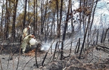 Cháy rừng gây ảnh hưởng lớn đến hệ thống truyền tải điện