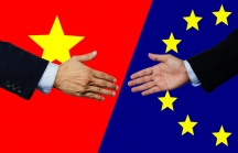 EVFTA với quan hệ Việt Nam - EU