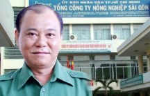 Hoạn lộ của ông Lê Tấn Hùng, nguyên Tổng Giám đốc SAGRI