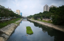 Bí thư quận Hoàn Kiếm đề xuất cống hóa sông Tô Lịch