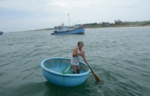 Làm giảm hơn 500ha khu bảo tồn biển Hòn Cau, Bình Thuận kiểm điểm nhiều đơn vị
